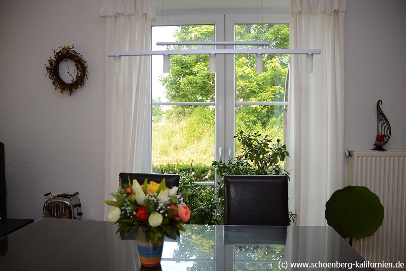 Blick in den Garten