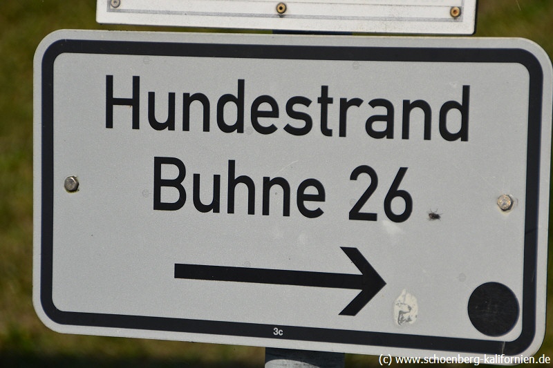 Hundestrand Kalifornien